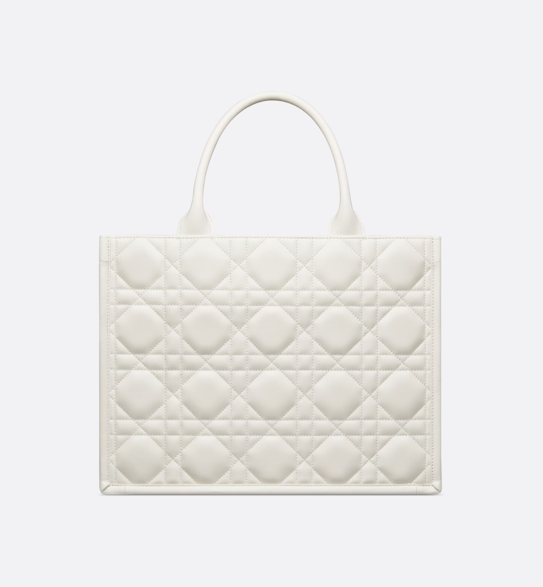 Medium Dior Book Tote